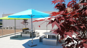 Eröffnung der Dachterrasse